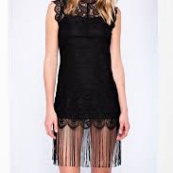 🔅Anthropoligie Endless Rose Little Black Lace Midi Fringe Hem Dress 🌹🔅 - Picture 6 of 14